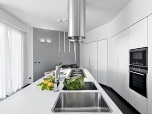 Interiors of the Modern Kitchen